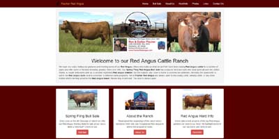 Fischer Red Angus Montana Website Design